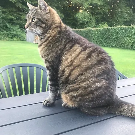 170 M2 Stort Hus Taet Pa Centrum, Mch Og Boxen Villa *