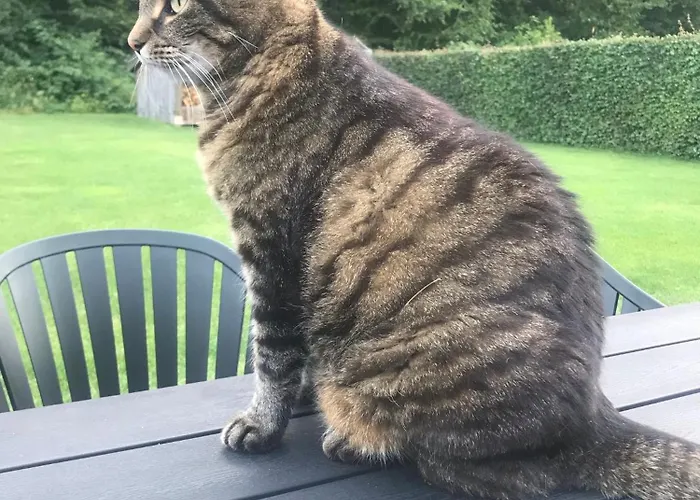 170 M2 Stort Hus Taet Pa Centrum, Mch Og Boxen Villa *